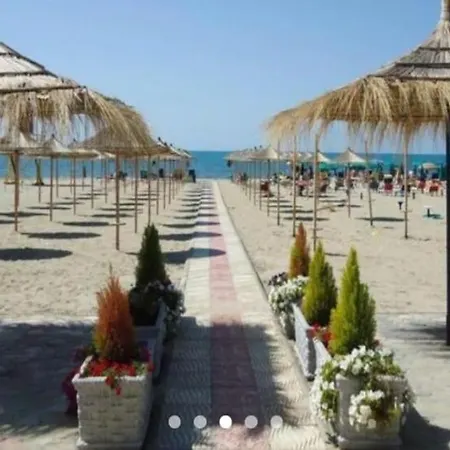 - Ana 2 *